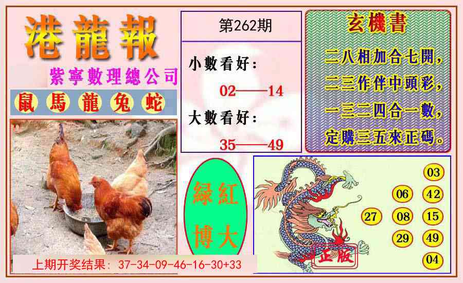 262期港龙报[图]
