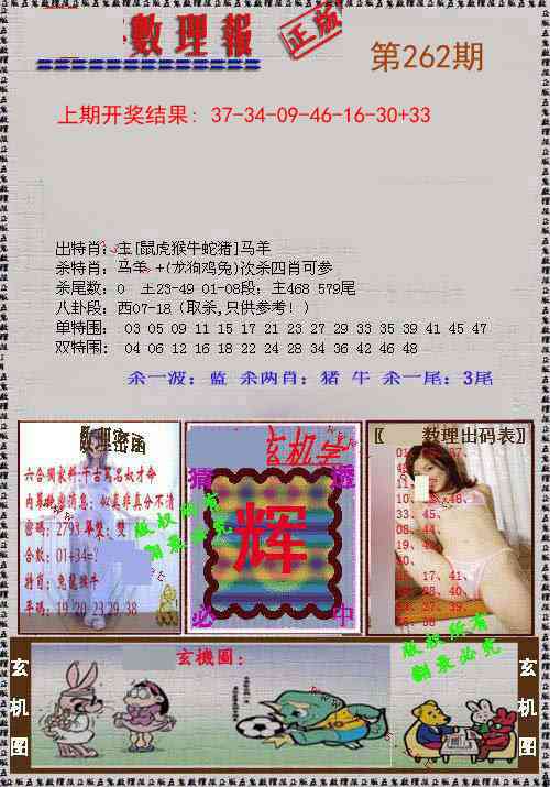 262期数理报[图]