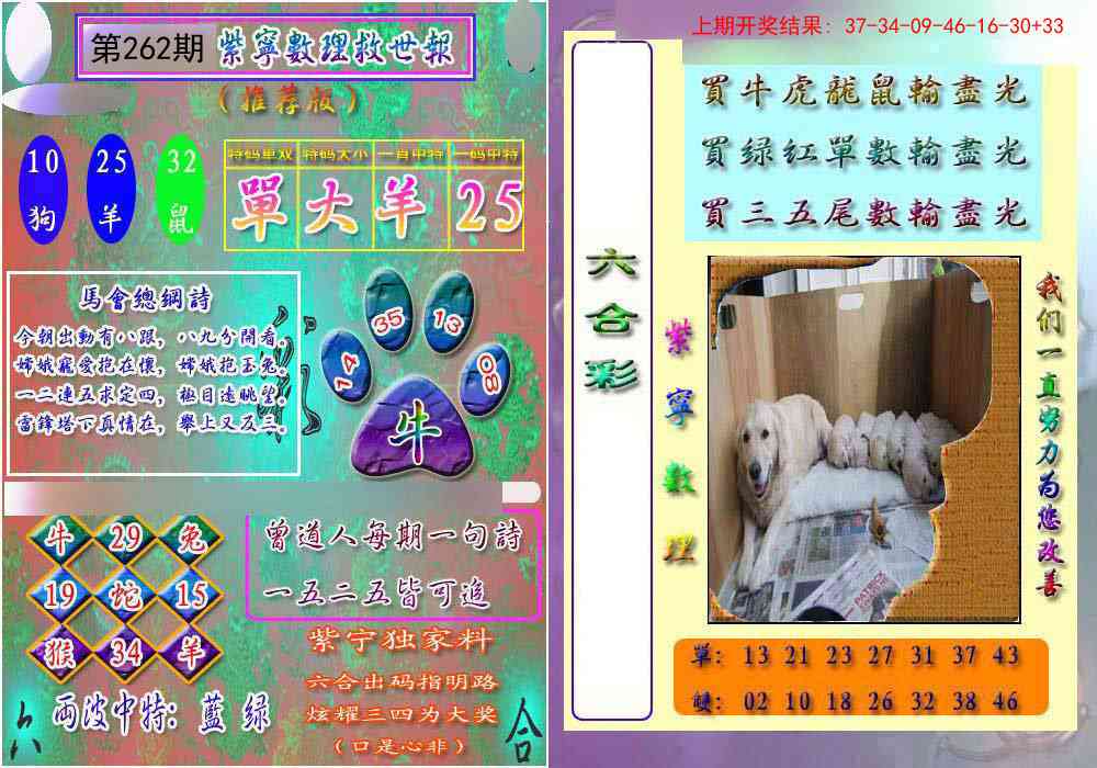 262期数理救世报[图]