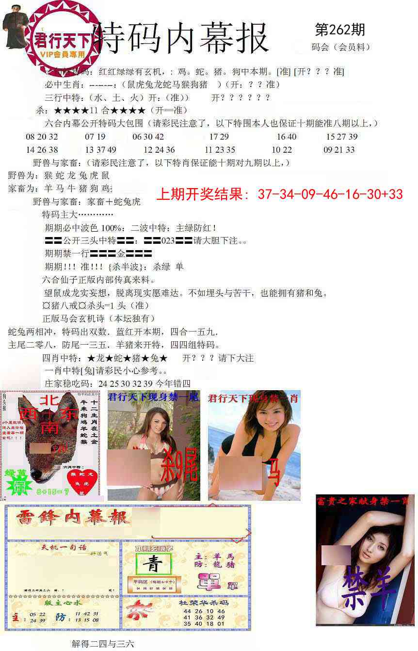 262期特码内幕报[图]