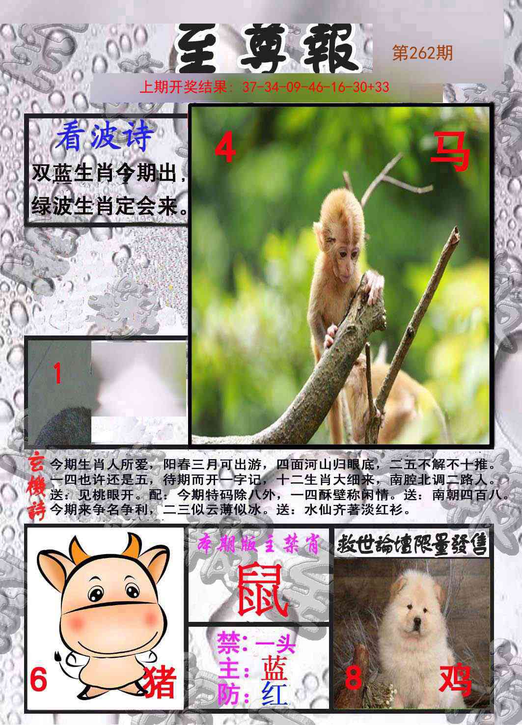 262期至尊报[图]