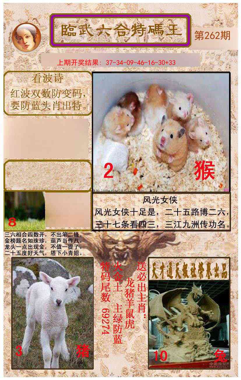 262期临武六合特码王[图]