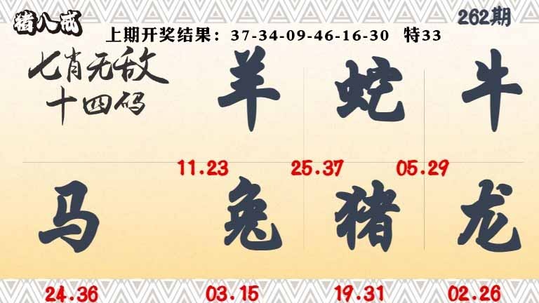 262期七肖无敌14码[图]