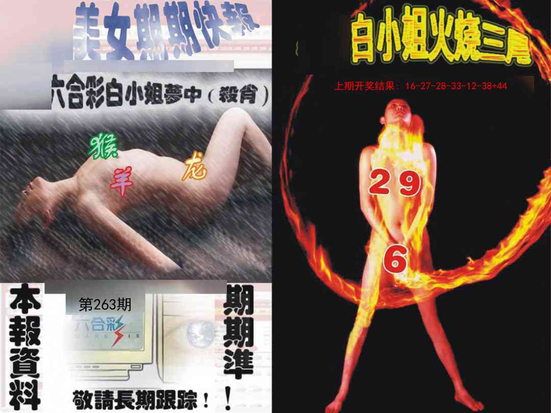 263期环球美女特码报[图]