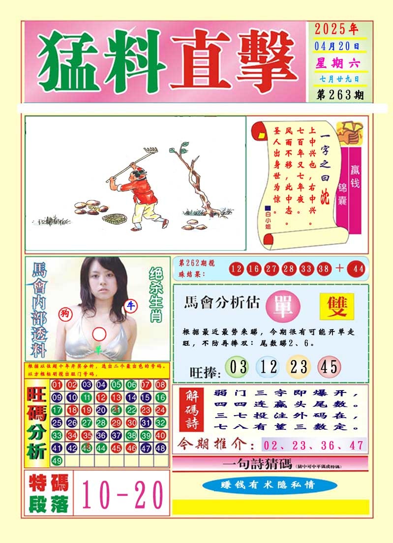 263期猛料直击A[图]