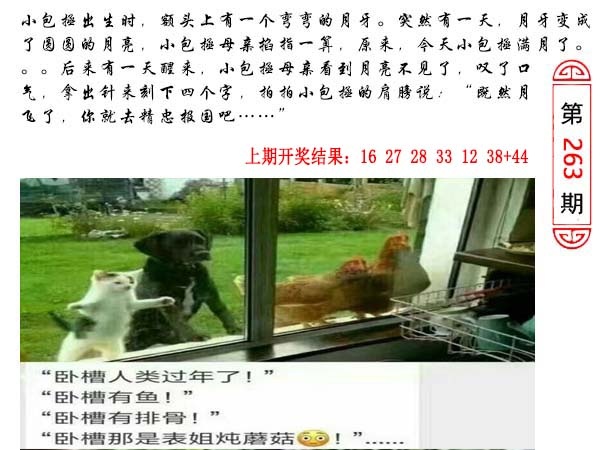 263期澳门生活幽默[图]
