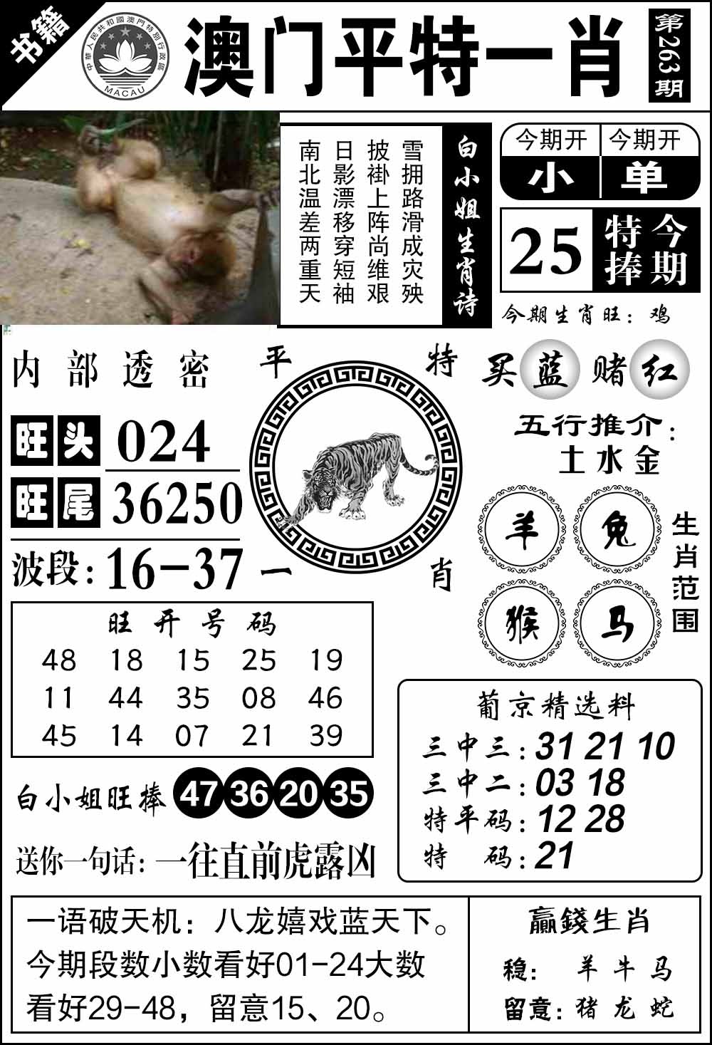 263期澳门内部透密[图]