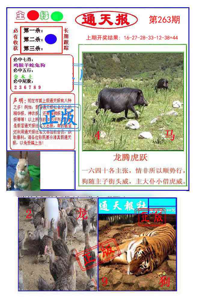 263期通天杀波图1[图]