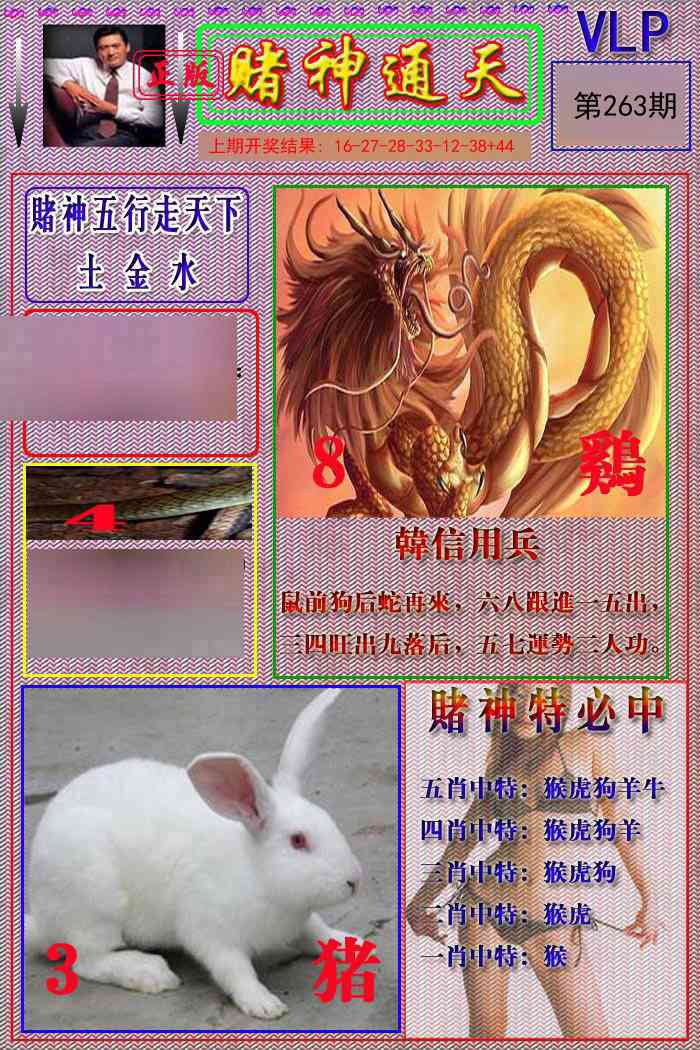 263期赌神通天报[图]