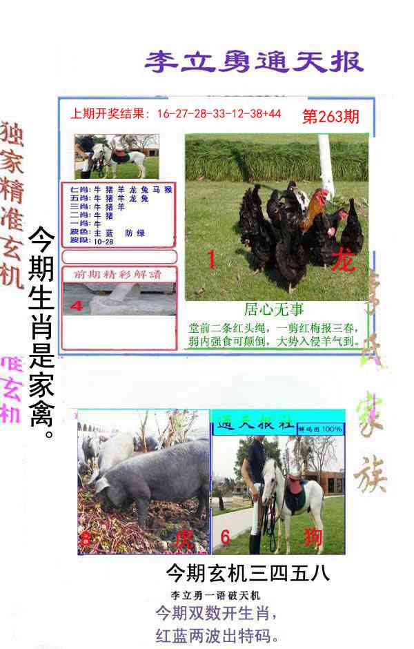 263期李立勇通天报[图]