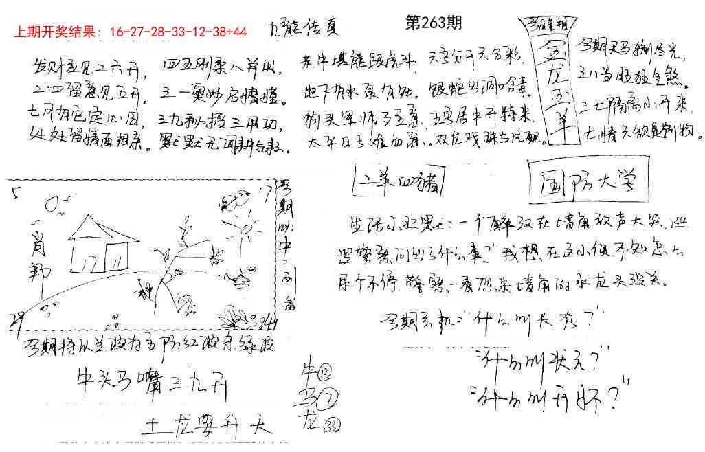 263期手写九龙内幕[图]