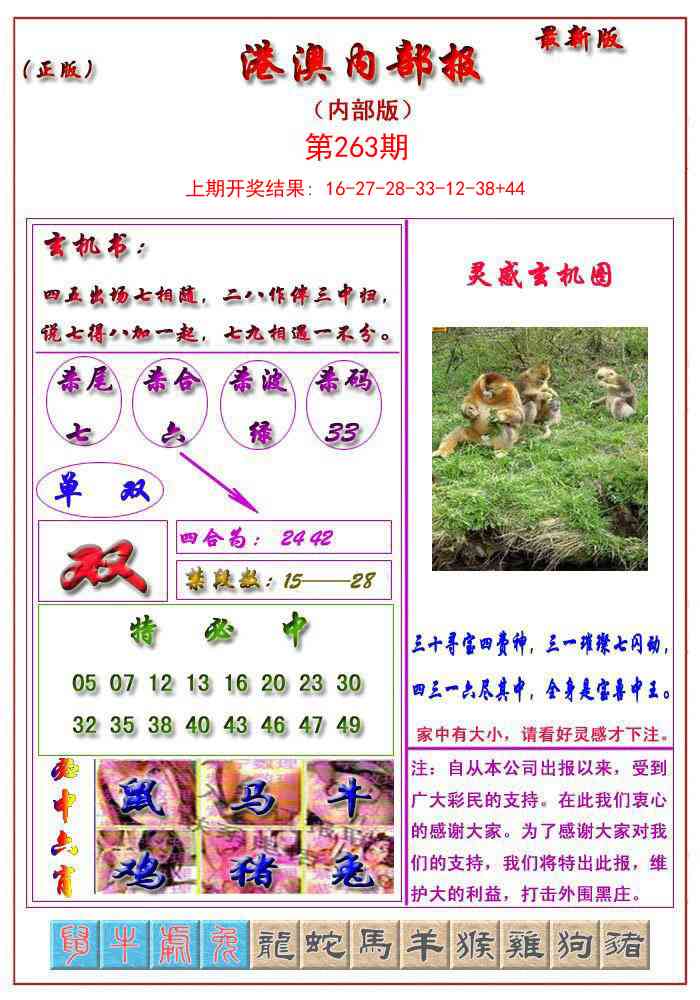 263期港澳报[图]