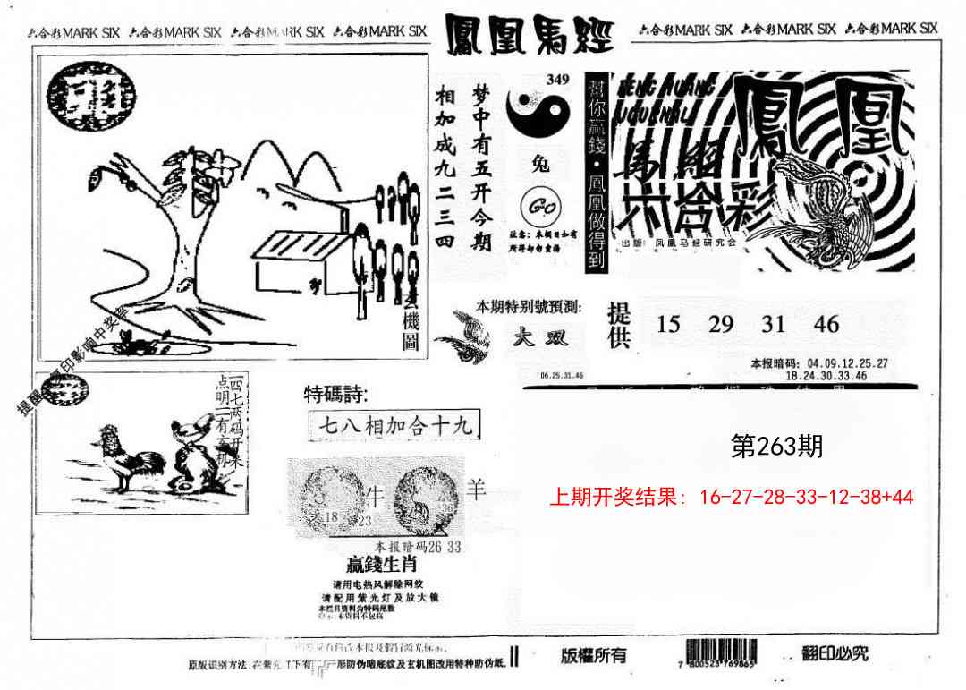 263期另版凤凰马经[图]