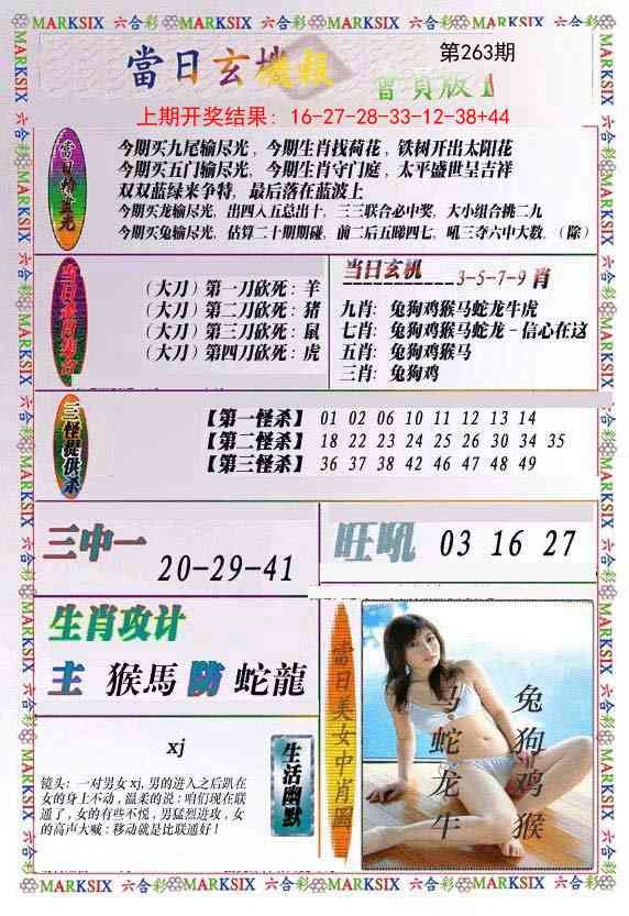 263期当日玄机-2[图]