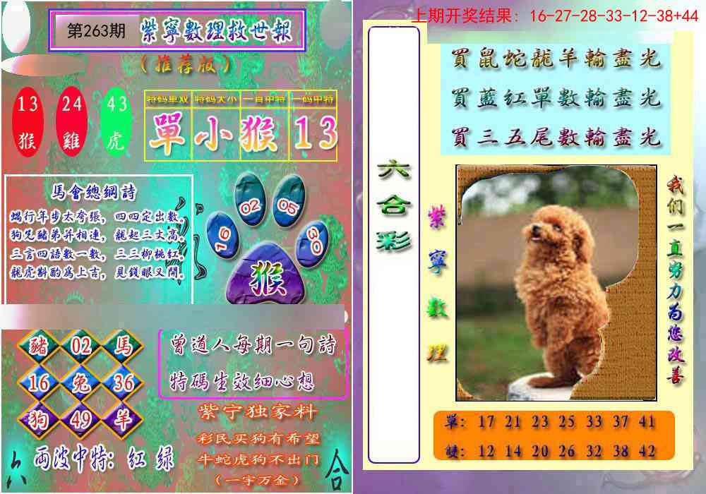 263期数理救世报[图]