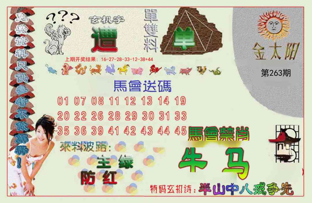 263期金太阳[图]