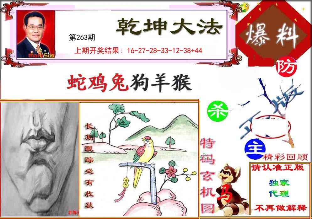 263期乾坤大发[图]