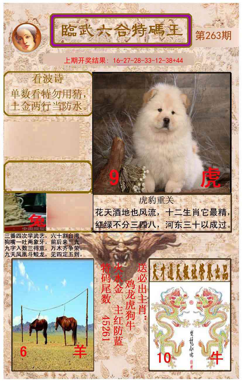 263期临武六合特码王[图]