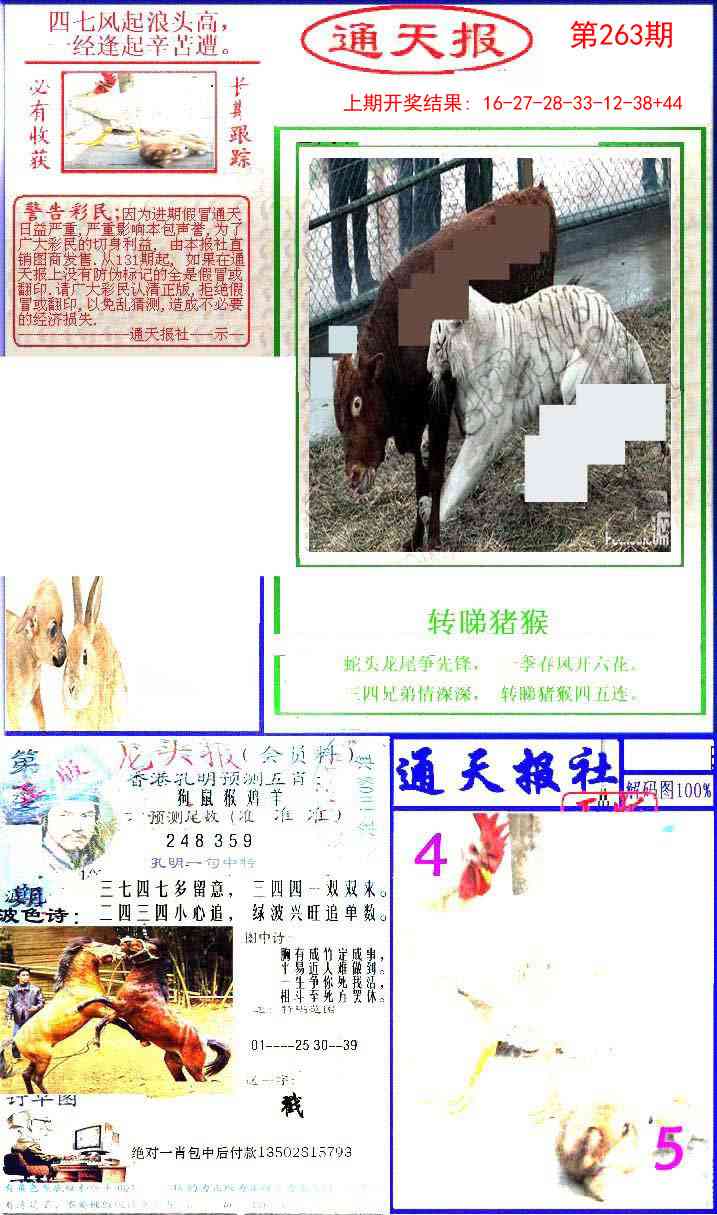263期实力通天报[图]