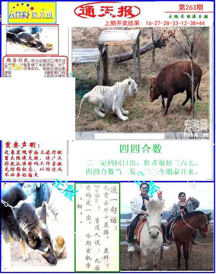 263期大陆通天报[图]
