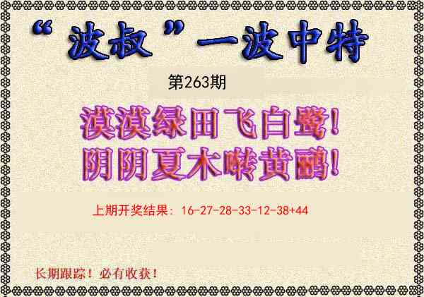 263期波叔一波中特[图]
