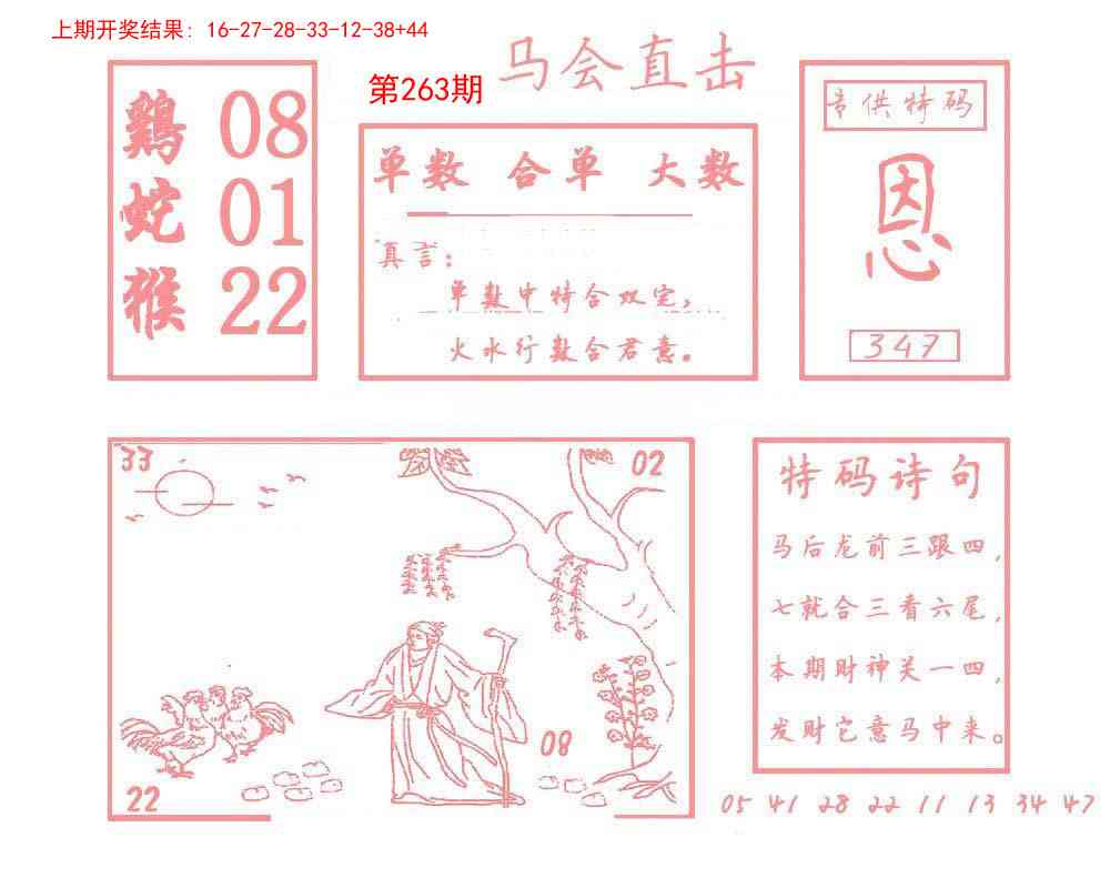 263期马会直击[图]
