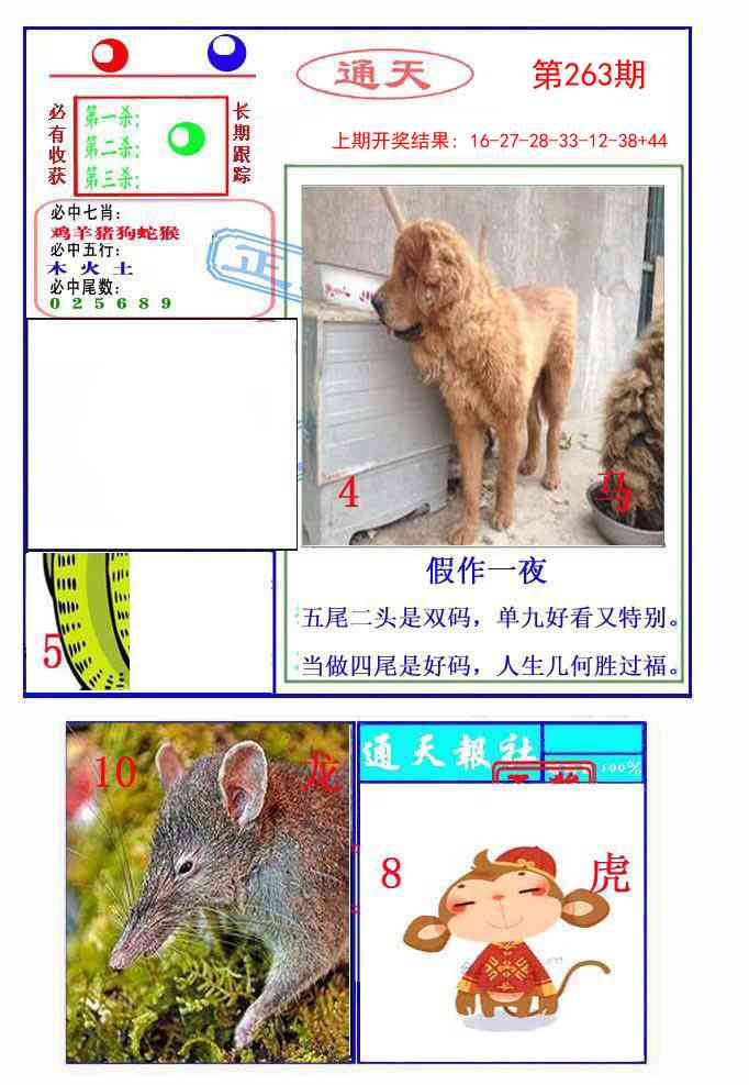 263期通天杀波图2[图]