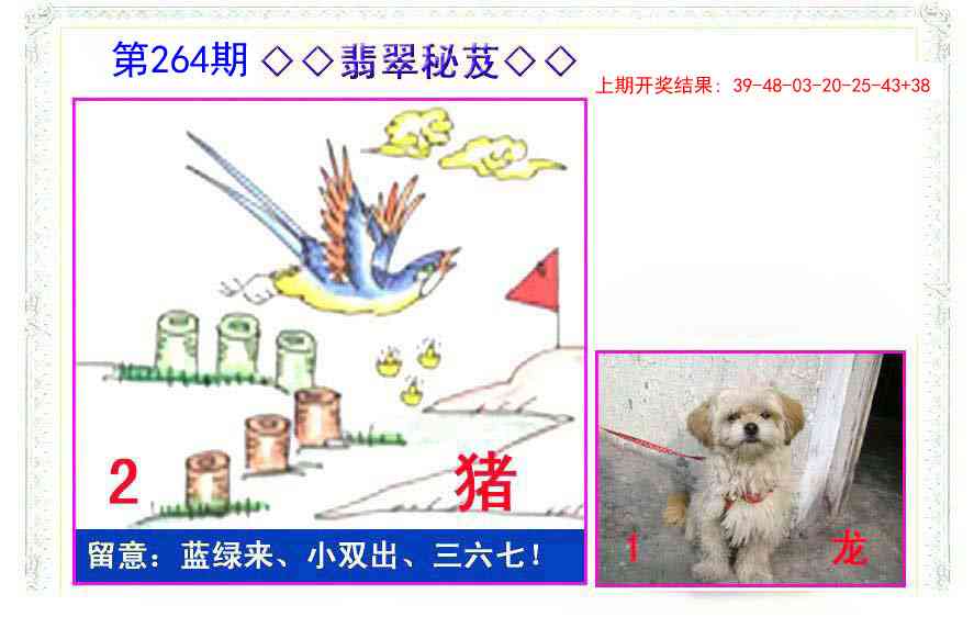 264期翡翠报[图]