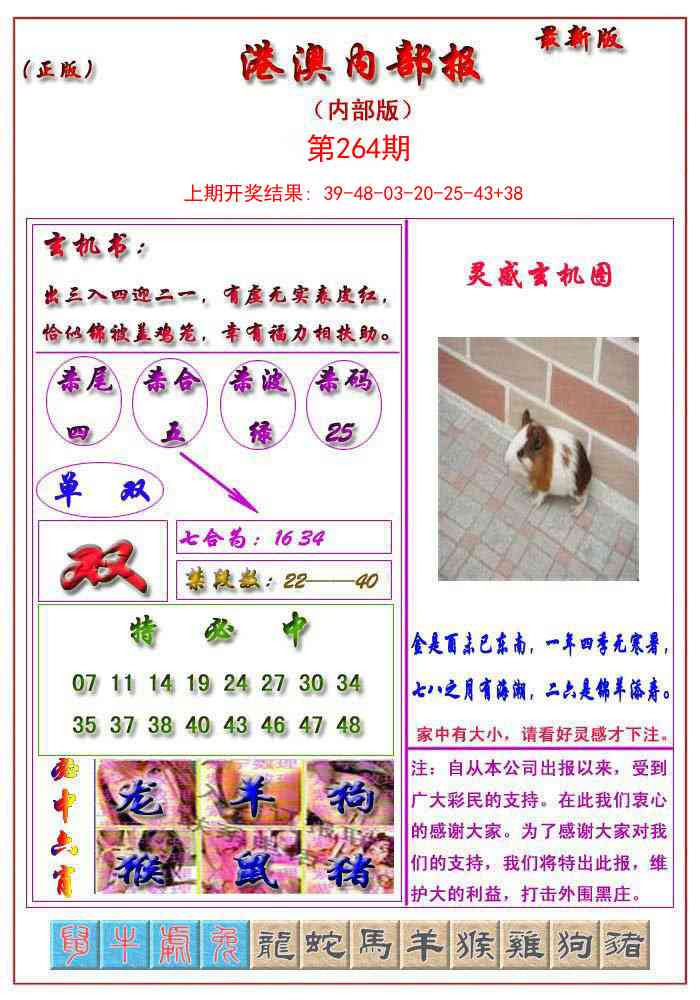 264期港澳报[图]