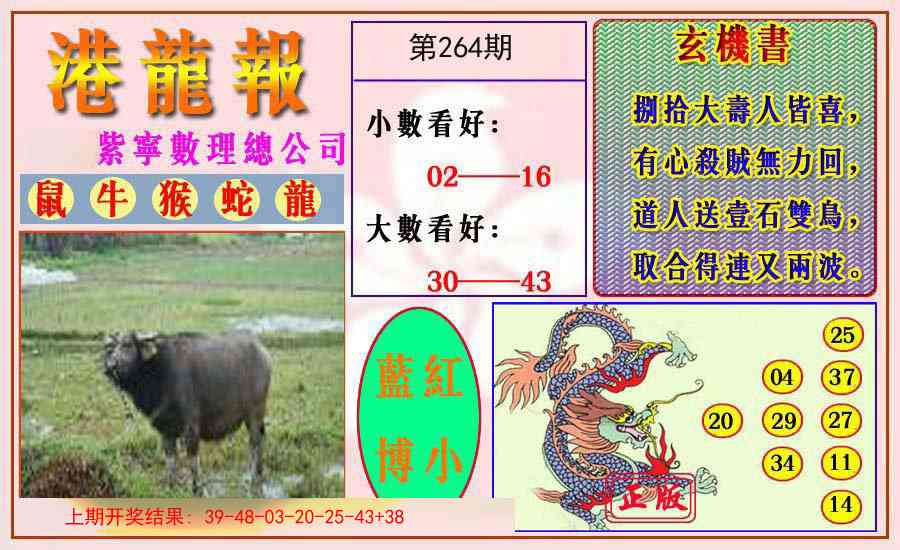 264期港龙报[图]