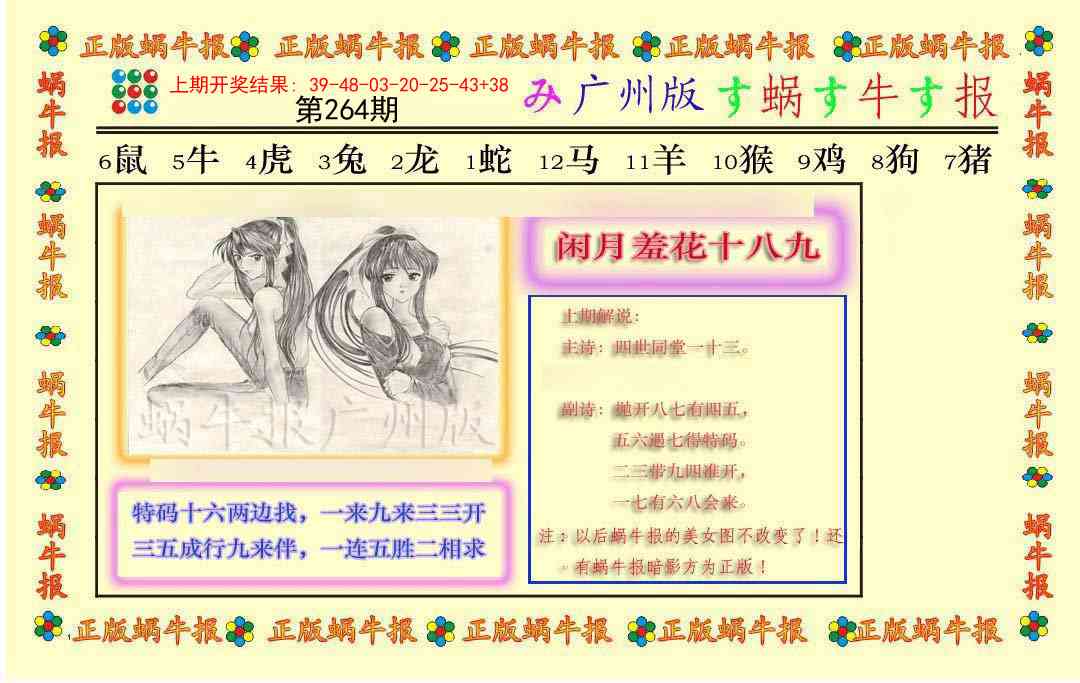 264期正版蜗牛报[图]