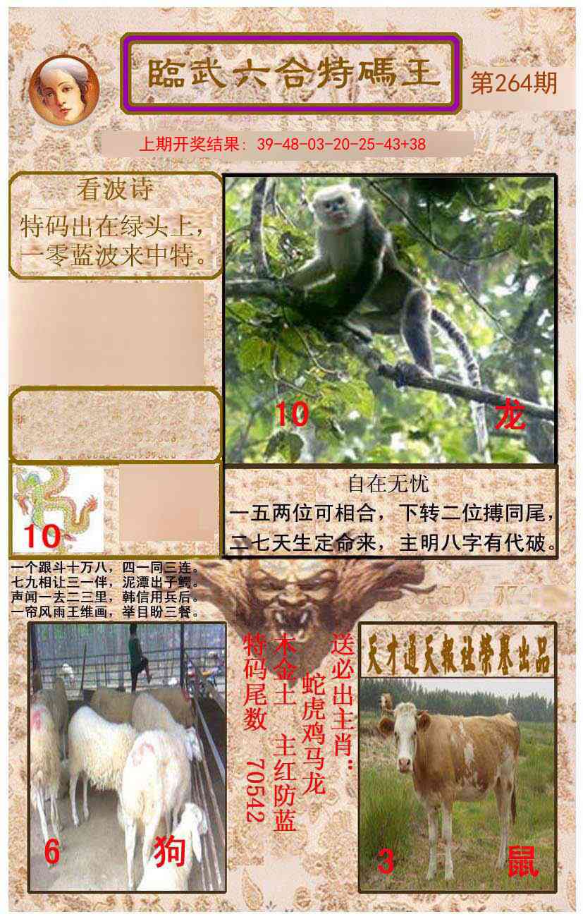 264期临武六合特码王[图]