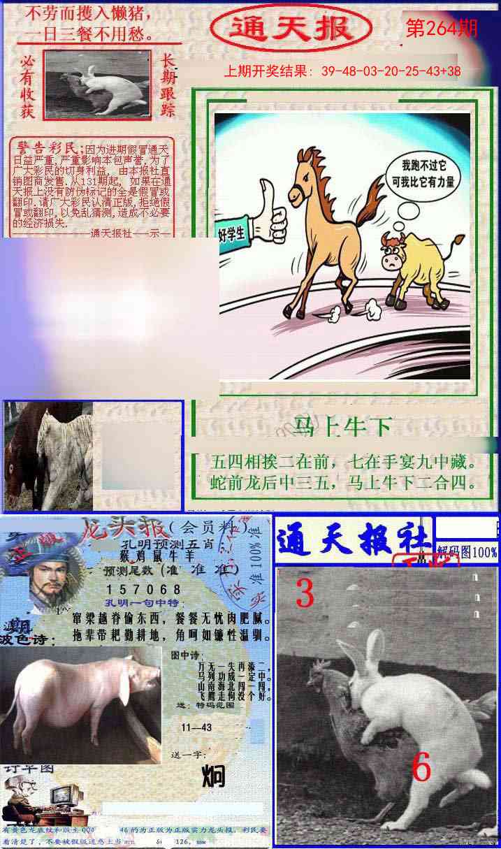 264期实力通天报[图]