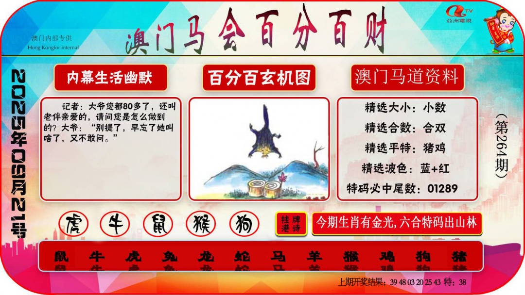 264期百分百财经[图]