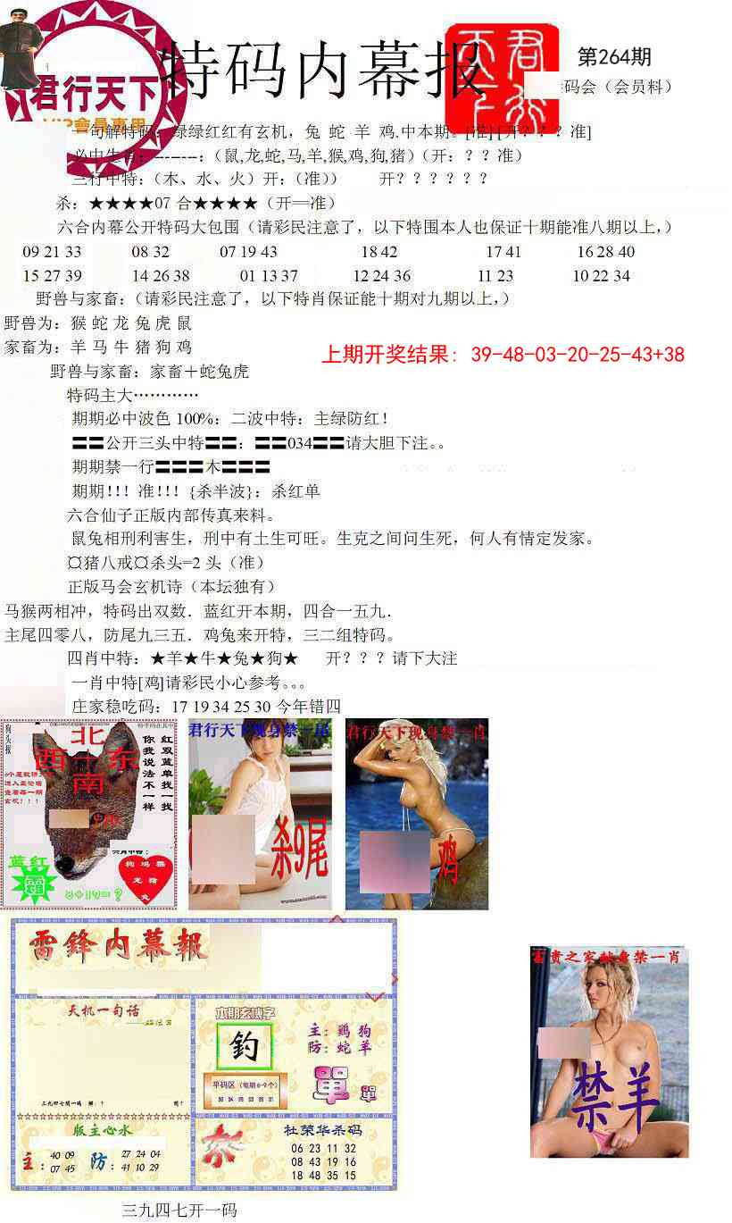 264期特码内幕报[图]