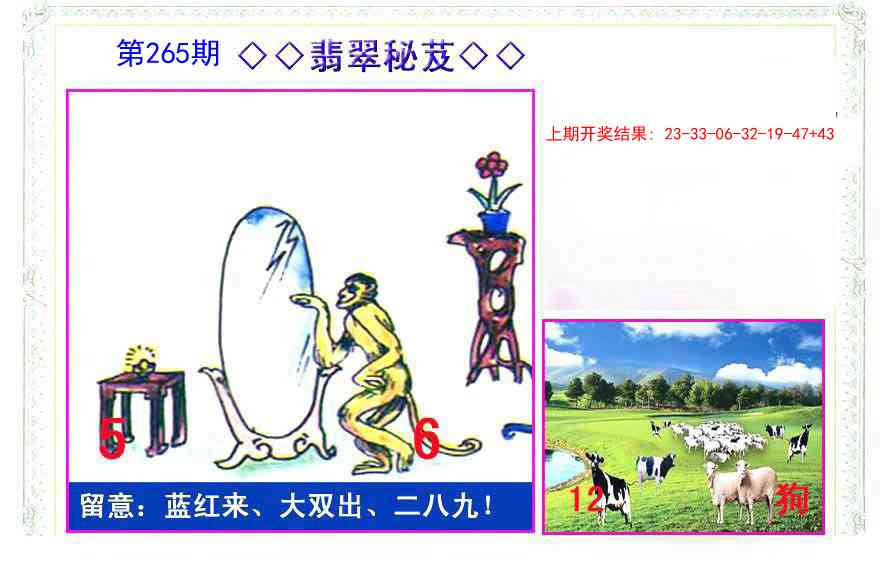 265期翡翠报[图]