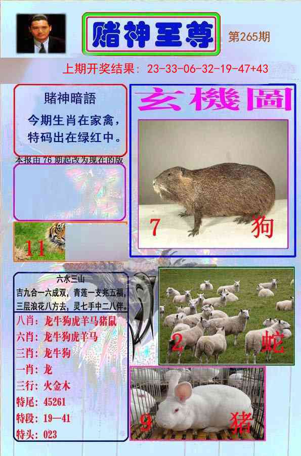 265期赌神至尊[图]