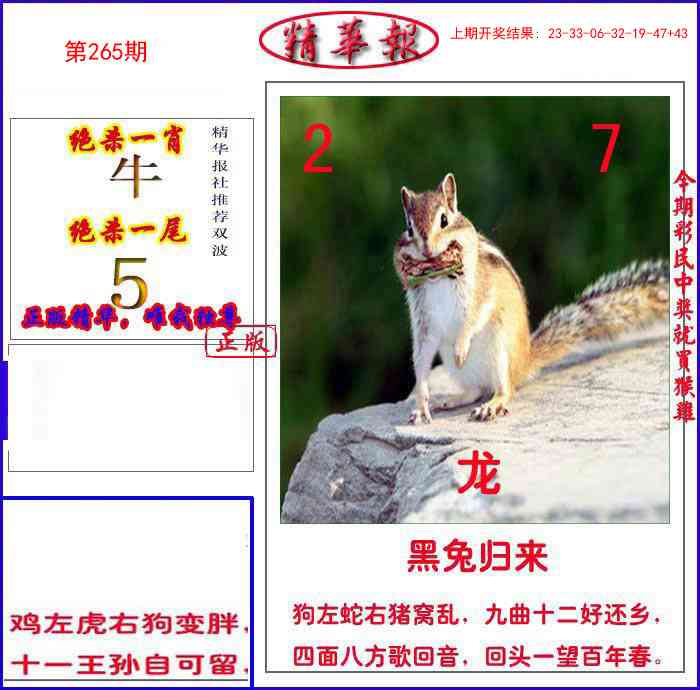 265期新精华报报[图]