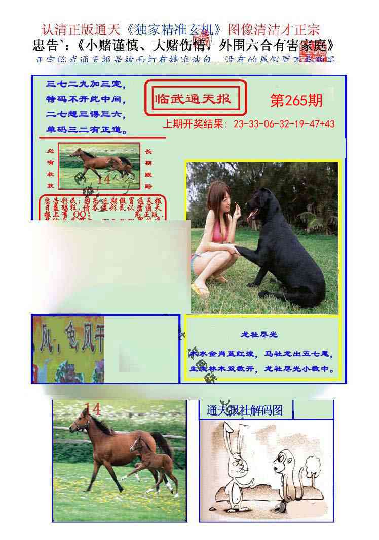 265期临武通天报[图]