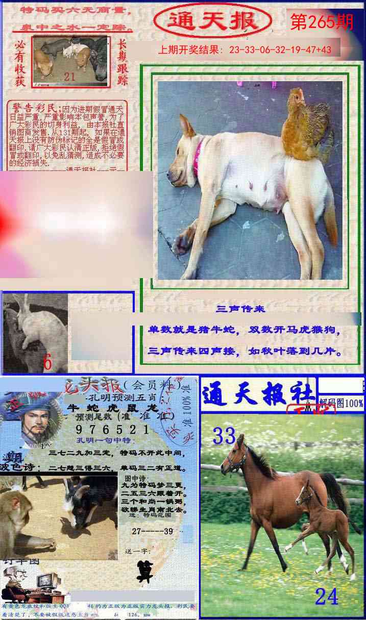 265期实力通天报[图]