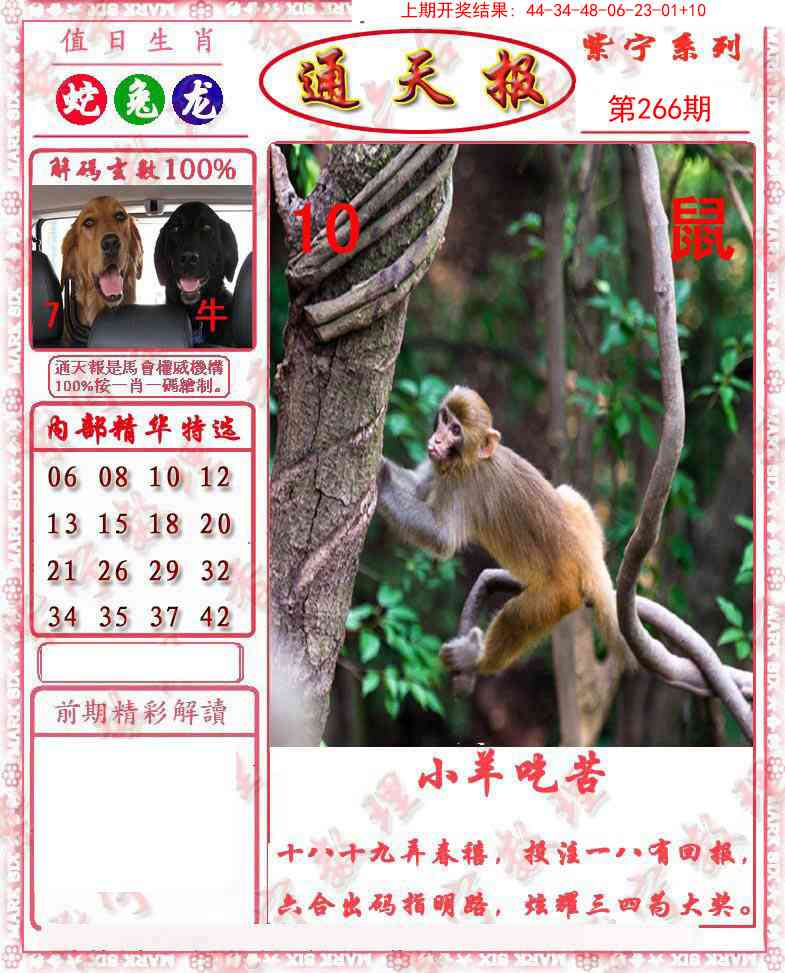 266期救通报[图]