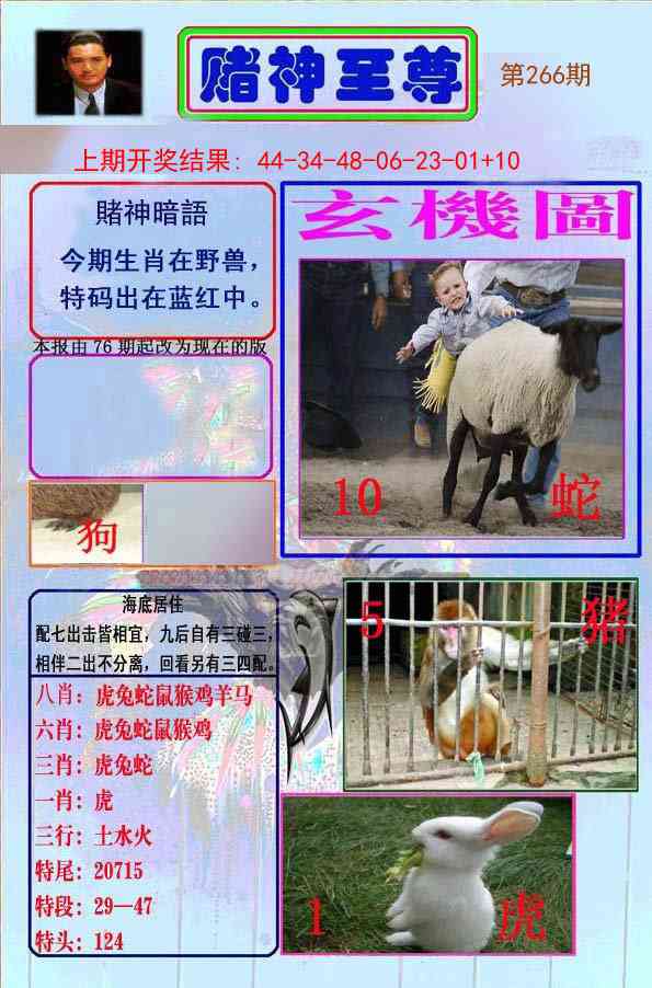 266期赌神至尊[图]