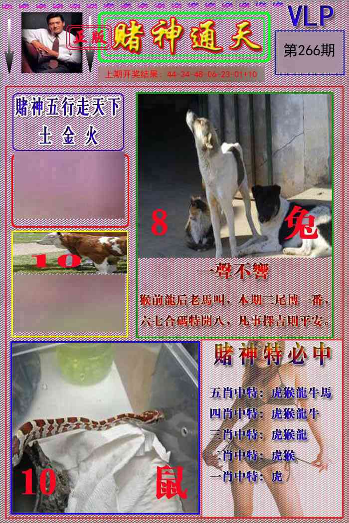 266期赌神通天报[图]