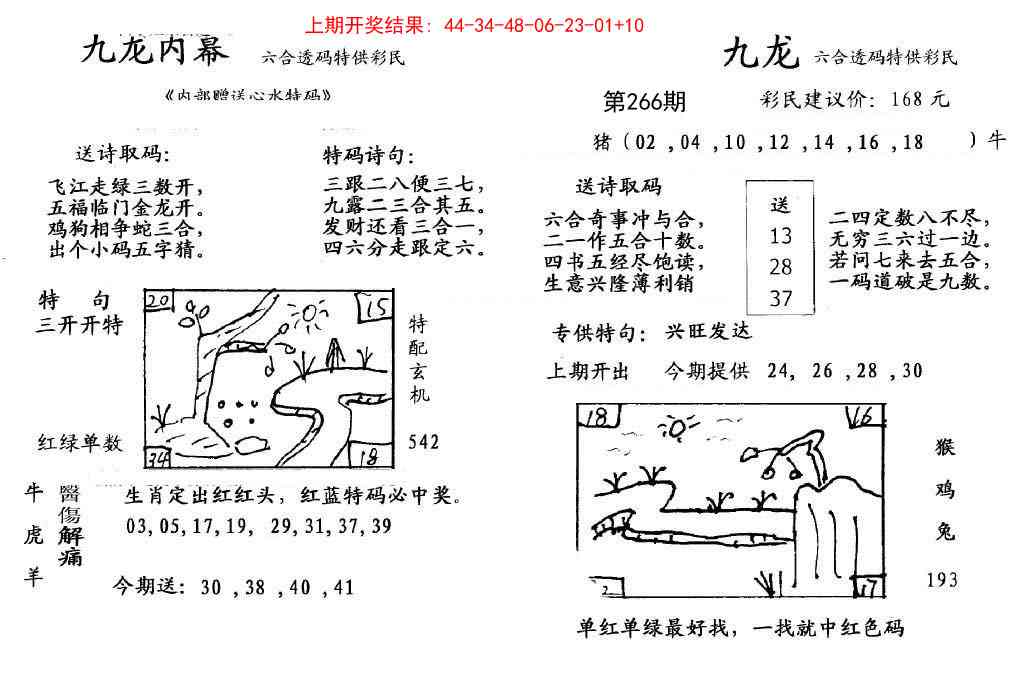 266期九龙内幕[图]