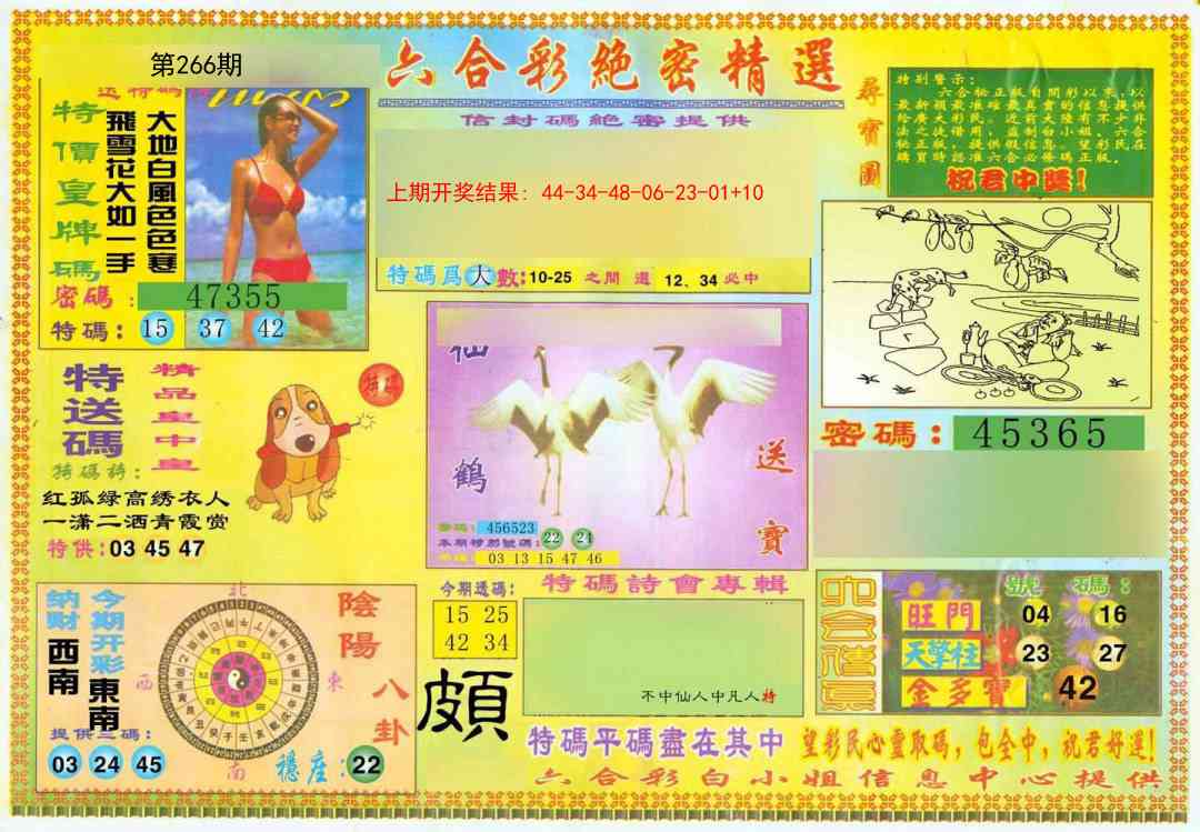 266期绝密精选A[图]