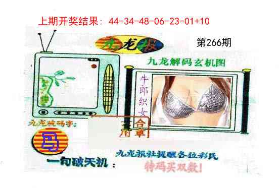 266期九龙报[图]