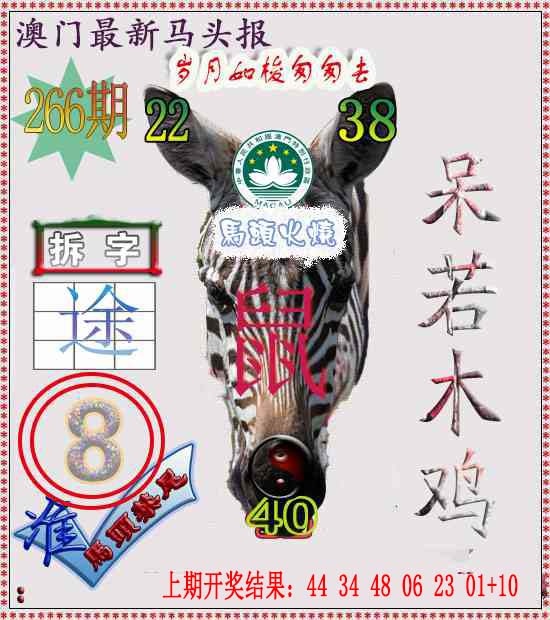 266期马头报[图]