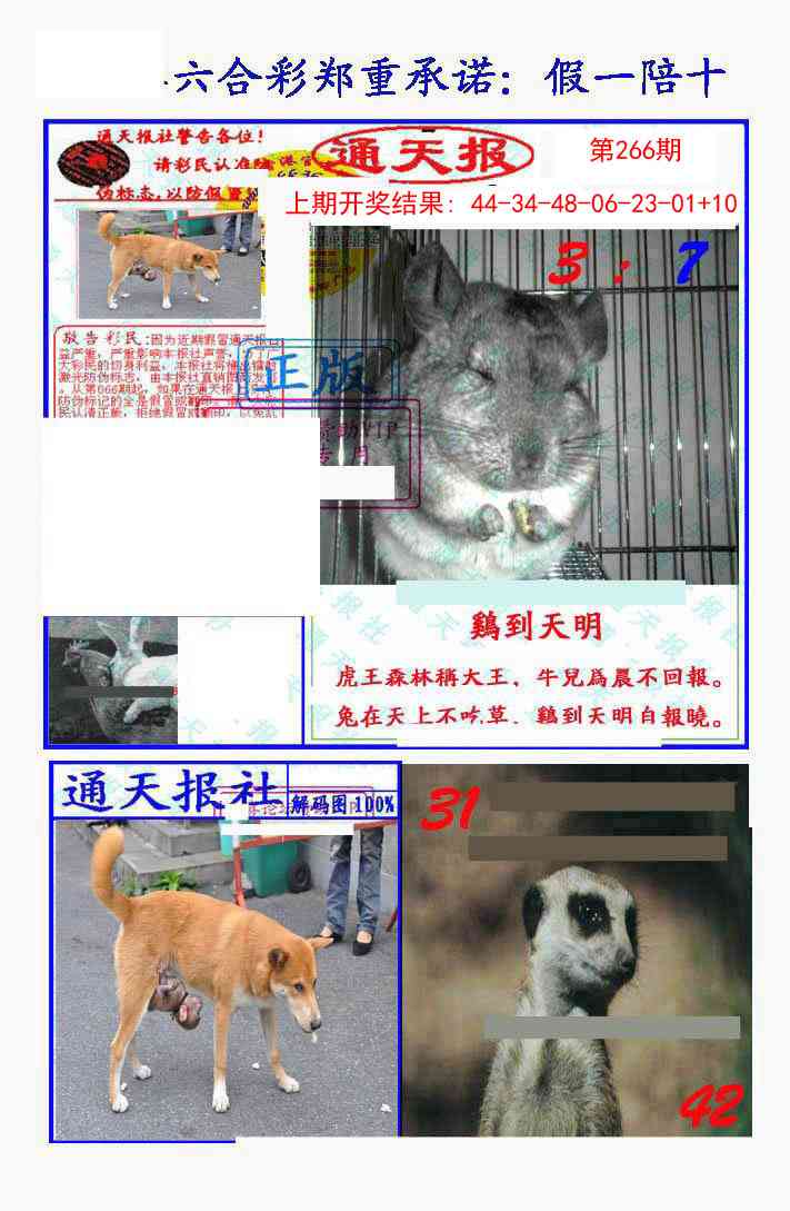 266期假一陪十通天报[图]