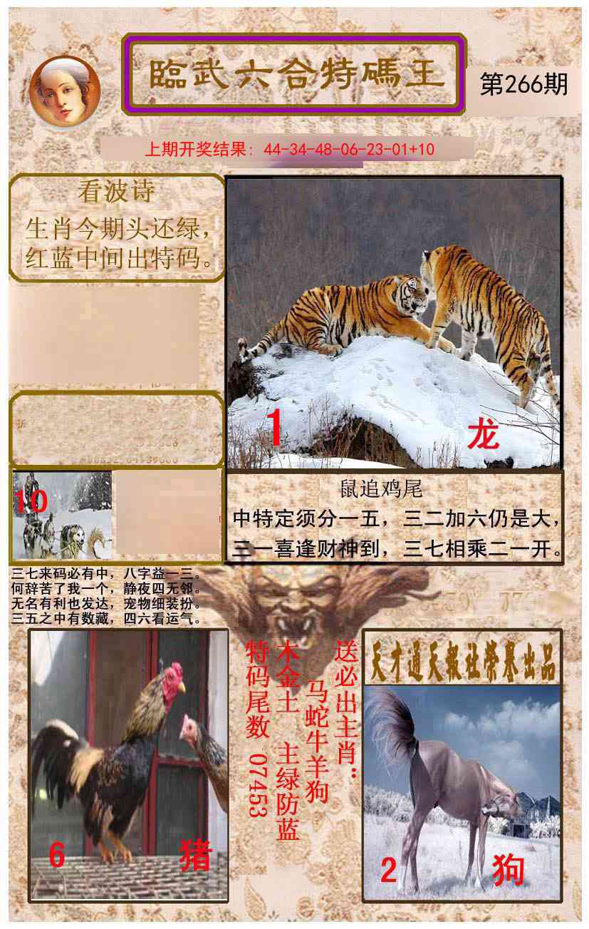 266期临武六合特码王[图]