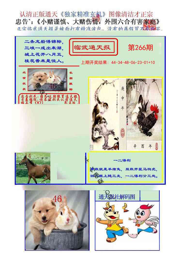 266期临武通天报[图]